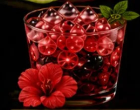 [PROD-0113] Caipirinha De Hibisco